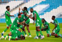 CAN 2025/Coupe du monde 2026 : Les Etalons à la recherche d’un entraîneur